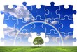 Le puzzle écologique
