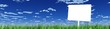 Blanko Schild im Gras 04